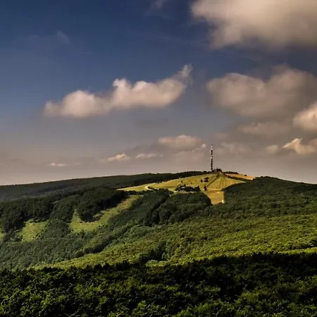 Srdce Mesta 1 - Zazitkovy Na Pesej Zone S Balkonom A Terasou Stará Turá