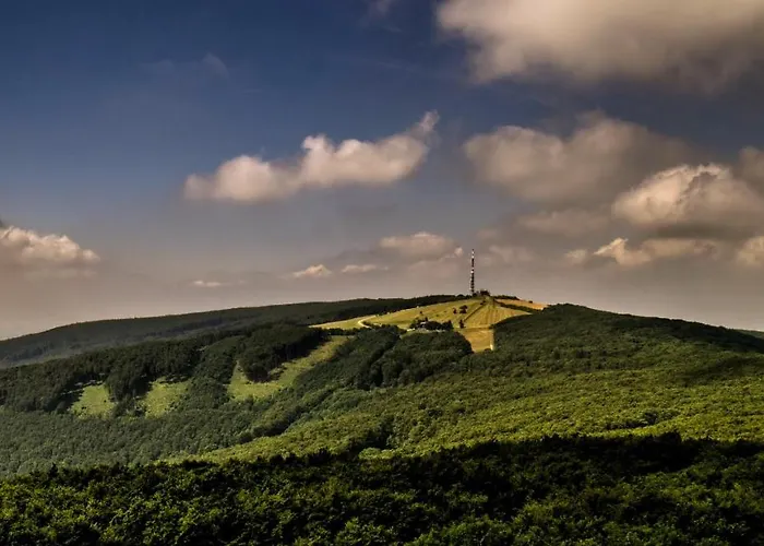 Srdce Mesta 1 - Zazitkovy Na Pesej Zone S Balkonom A Terasou Stará Turá